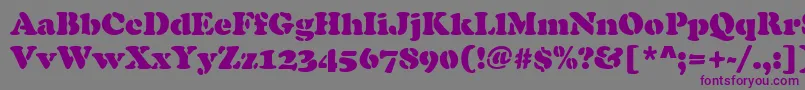 ellis Font – Purple Fonts on Gray Background