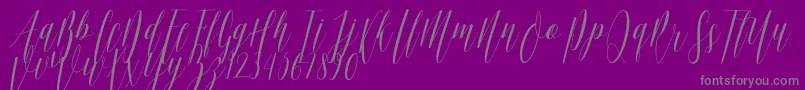 Ellisa DF-Schriftart – Graue Schriften auf violettem Hintergrund