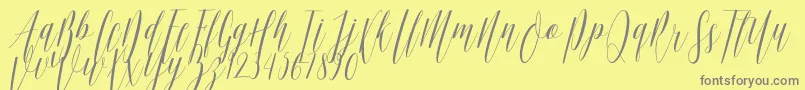Ellisa DF-Schriftart – Graue Schriften auf gelbem Hintergrund