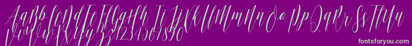 Ellisa DF-Schriftart – Grüne Schriften auf violettem Hintergrund