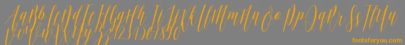フォントEllisa DF – オレンジの文字は灰色の背景にあります。