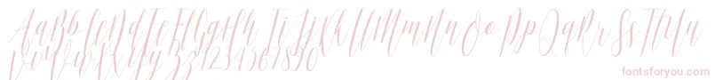 Ellisa DF-Schriftart – Rosa Schriften