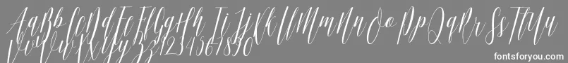 Ellisa DF Font – White Fonts on Gray Background