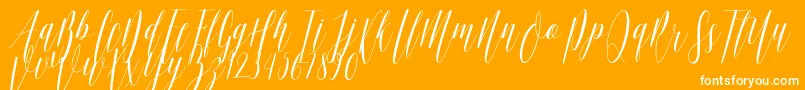 Weitere Informationen zur Ellisa DF-Schriftart Ellisa DF-Schriftart – Weiße Schriften auf orangefarbenem Hintergrund