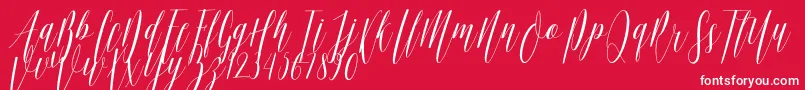 フォントEllisa DF – 赤い背景に白い文字