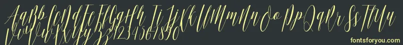 フォントEllisa DF – 黒い背景に黄色の文字