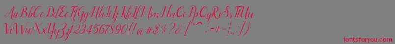 Ellizabeth Font – Red Fonts on Gray Background