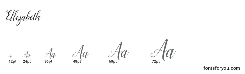 Ellizabeth Font Sizes
