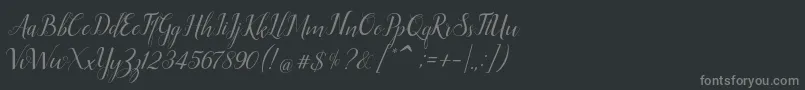 Ellizabeth Font – Gray Fonts on Black Background