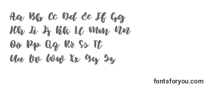 Review of the Elowen Font