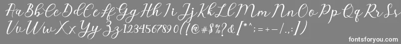Emeley Script Font – White Fonts on Gray Background