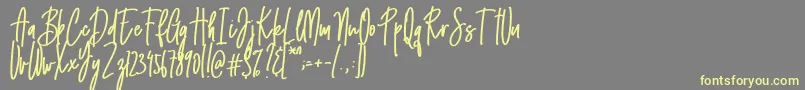 Emma signature Font – Yellow Fonts on Gray Background