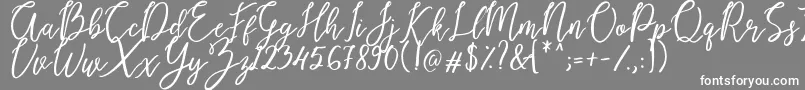 Endestry Font – White Fonts on Gray Background