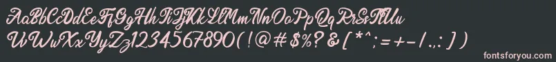 Endolitta Demo Font – Pink Fonts on Black Background