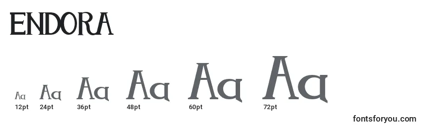 Размеры шрифта ENDORA   (125985)