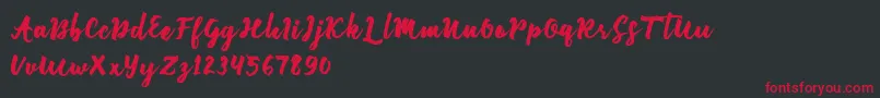 Enforce Justice Font – Red Fonts on Black Background