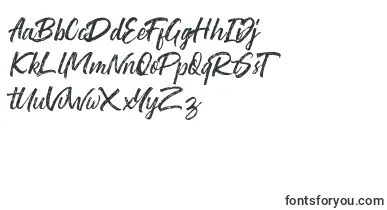 WashingtonRoughDemo font – antique Fonts