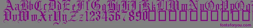 English Gothic, 17th c-Schriftart – Violette Schriften auf grauem Hintergrund