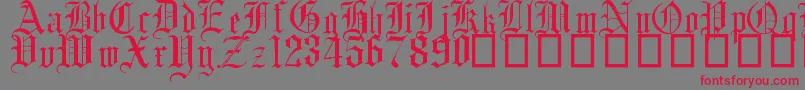 English Gothic, 17th c Font – Red Fonts on Gray Background