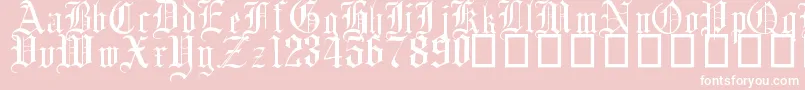 English Gothic, 17th c-Schriftart – Weiße Schriften auf rosa Hintergrund