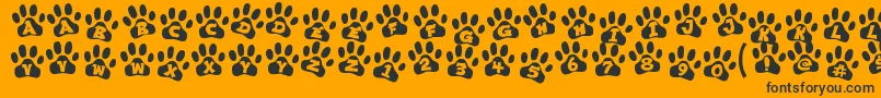 ennobled pet Font – Black Fonts on Orange Background