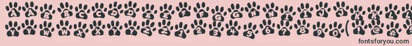 ennobled pet Font – Black Fonts on Pink Background