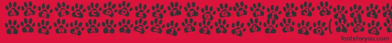 ennobled pet Font – Black Fonts on Red Background