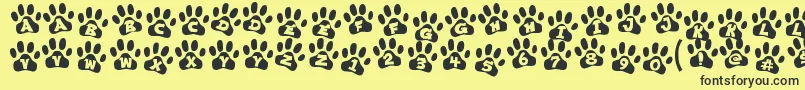 ennobled pet Font – Black Fonts on Yellow Background