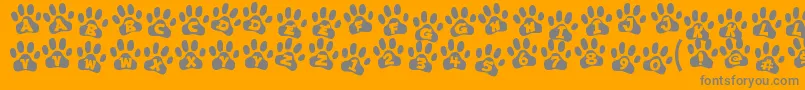 ennobled pet Font – Gray Fonts on Orange Background