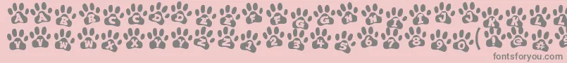 ennobled pet-Schriftart – Graue Schriften auf rosa Hintergrund