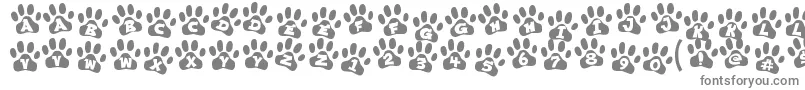 ennobled pet Font – Gray Fonts