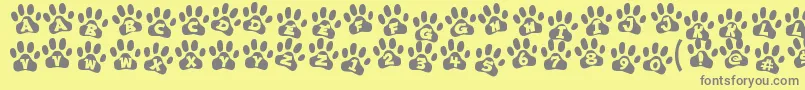 ennobled pet-Schriftart – Graue Schriften auf gelbem Hintergrund