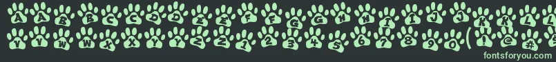 ennobled pet Font – Green Fonts on Black Background