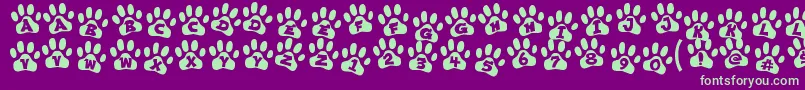 ennobled pet-Schriftart – Grüne Schriften auf violettem Hintergrund