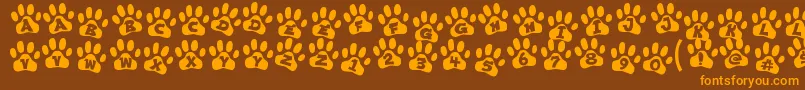 ennobled pet-Schriftart – Orangefarbene Schriften auf braunem Hintergrund