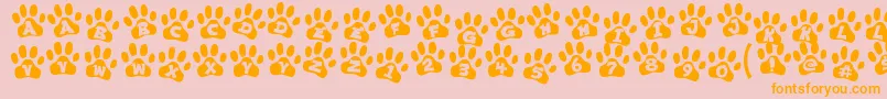 ennobled pet Font – Orange Fonts on Pink Background