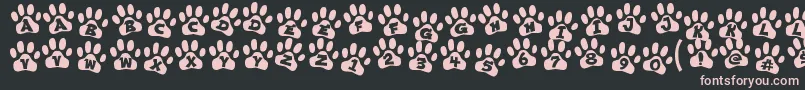 ennobled pet Font – Pink Fonts on Black Background