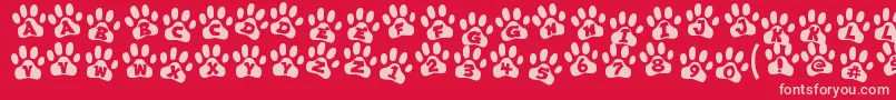 ennobled pet Font – Pink Fonts on Red Background