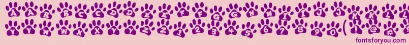 ennobled pet-fontti – violetit fontit vaaleanpunaisella taustalla