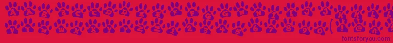 ennobled pet Font – Purple Fonts on Red Background