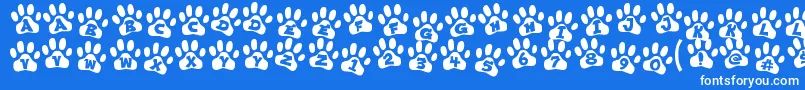 ennobled pet-Schriftart – Weiße Schriften auf blauem Hintergrund