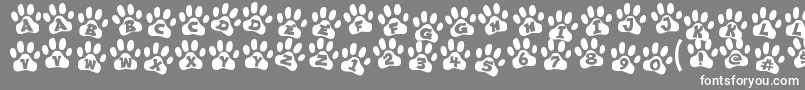 ennobled pet Font – White Fonts on Gray Background