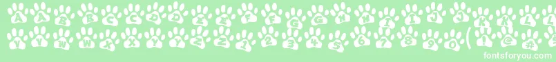 ennobled pet Font – White Fonts on Green Background