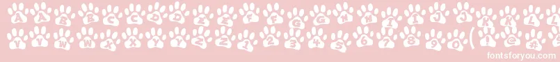 ennobled pet Font – White Fonts on Pink Background