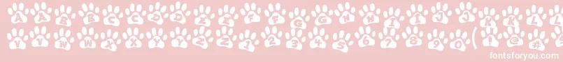 ennobled pet-Schriftart – Weiße Schriften auf rosa Hintergrund