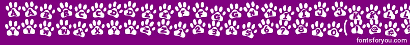 ennobled pet Font – White Fonts on Purple Background