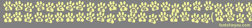 ennobled pet Font – Yellow Fonts on Gray Background