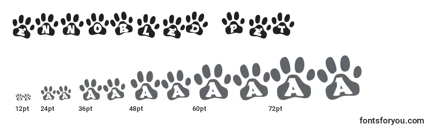 Ennobled pet Font Sizes