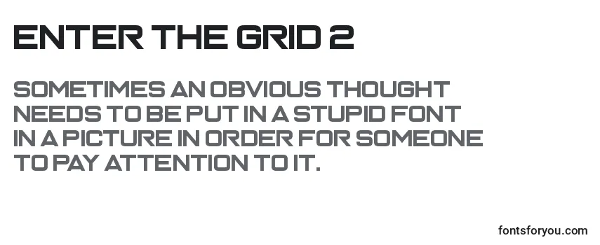 Police Enter the Grid 2