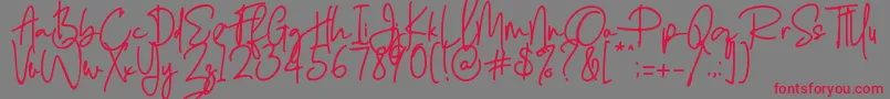 Enthusiast Behavior   Font – Red Fonts on Gray Background